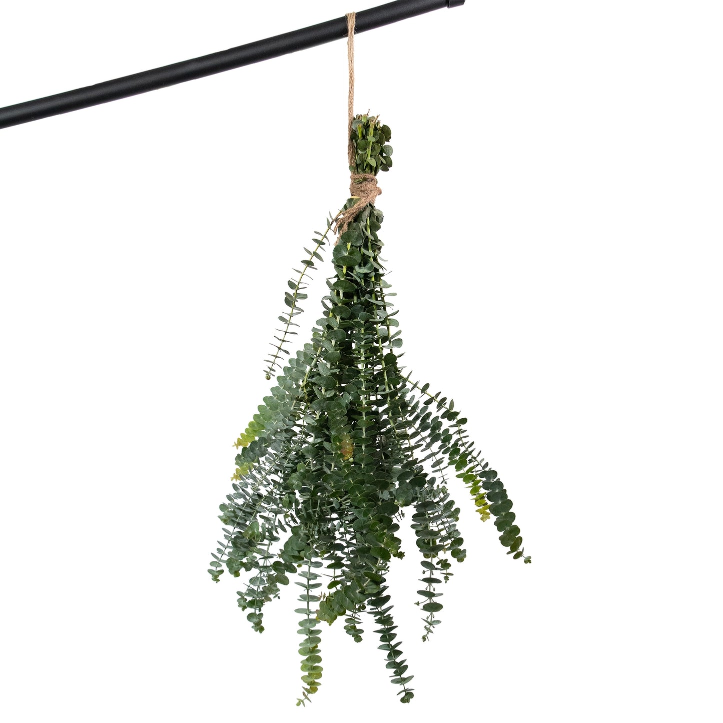 Eucalyptus Shower Bundle